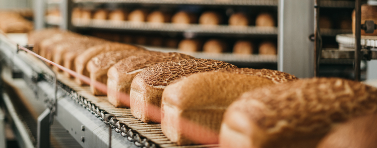 Food Processing and Animal Feed Industry.jpg